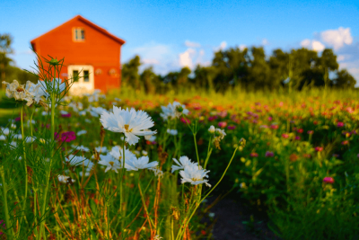 Farm Dwelling Insurance